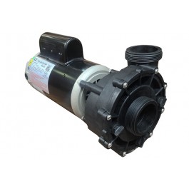 Sundance® Motor Assembly 2.5HP 240V