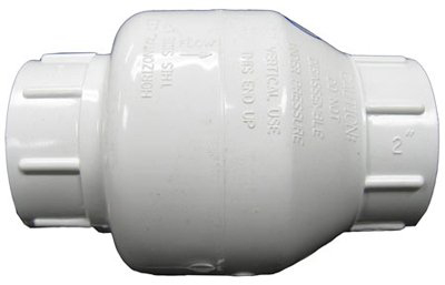 Viking 2" Spring Check Valve