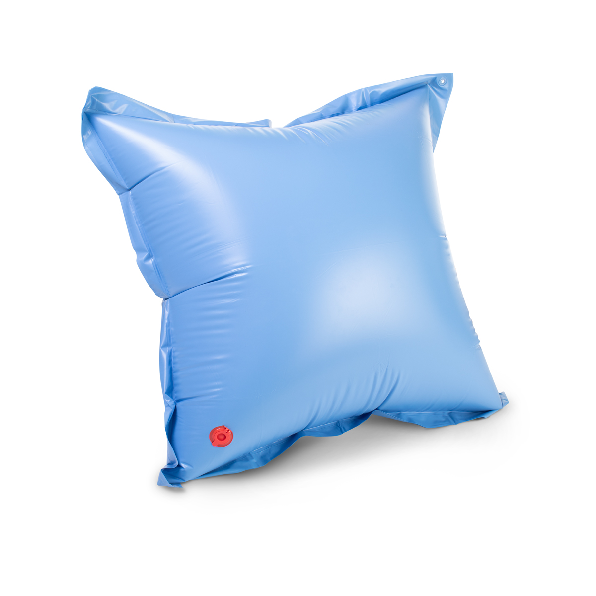 Winter Pool Pillow (4