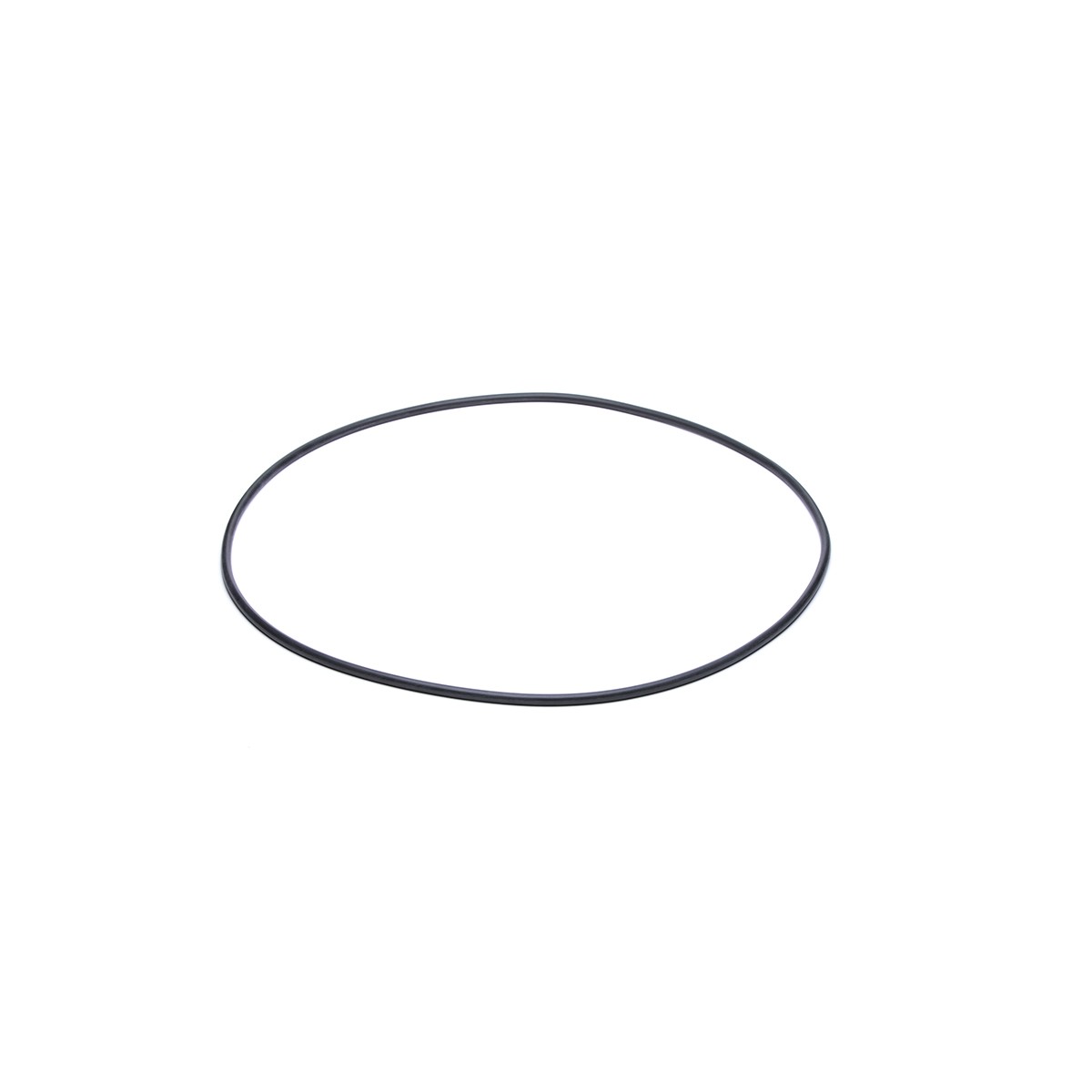 Body O-ring for All Voyager Models